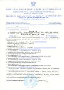 Выписка из ЕГРН
