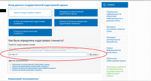 Поиск по кадастровому номеру