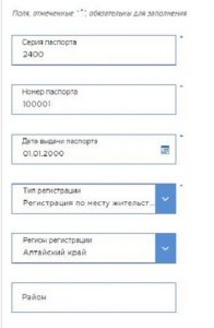 Паспортные данные Паспортные данные