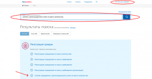 Портал госуслуг