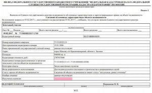 Образец кадастрового паспорта