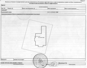 Образец выписки из ЕГРН