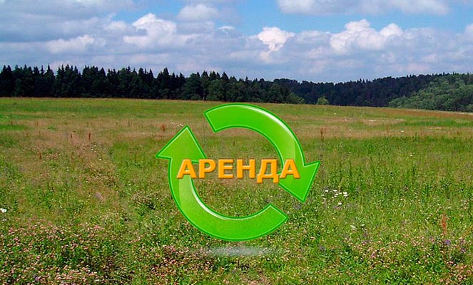 Аренда земли Аренда земли