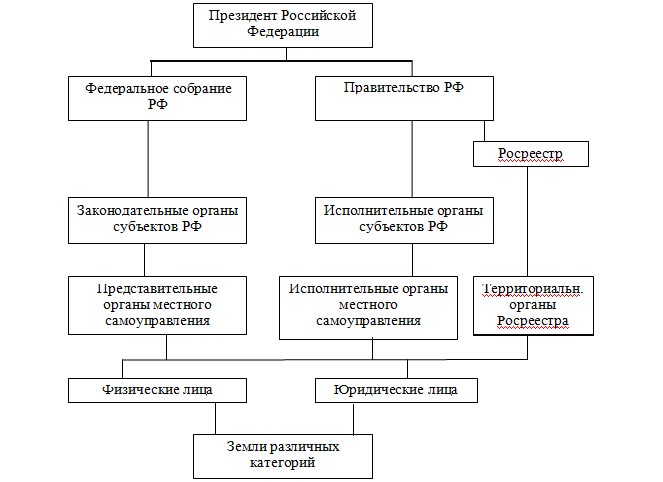 Структура управления земельным фондом РФ Структура управления земельным фондом РФ