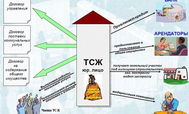 Функции ТСЖ Функции ТСЖ