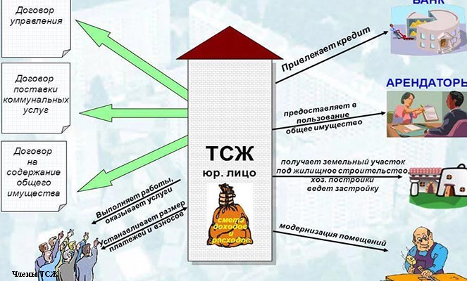 Функции ТСЖ Функции ТСЖ