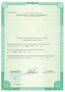 Лицензия УК - обратная сторона