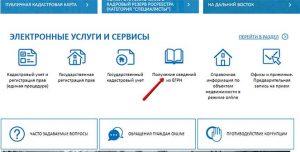 Выбор закладки Получение сведений из ЕГРН