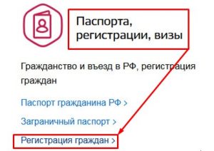 Вкладка «Паспорта, регистрации, визы» 