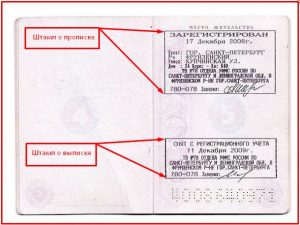 Штампы о прописке и выписке Штампы о прописке и выписке