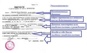 Свидетельство о постоянной регистрации
