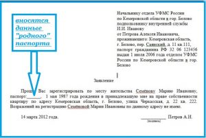 Заявление от собственника жилья Заявление от собственника жилья