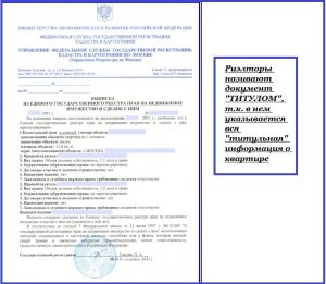 Выписка из ЕГРН