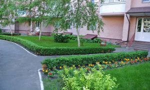 Озеленение дворовой территории МКД